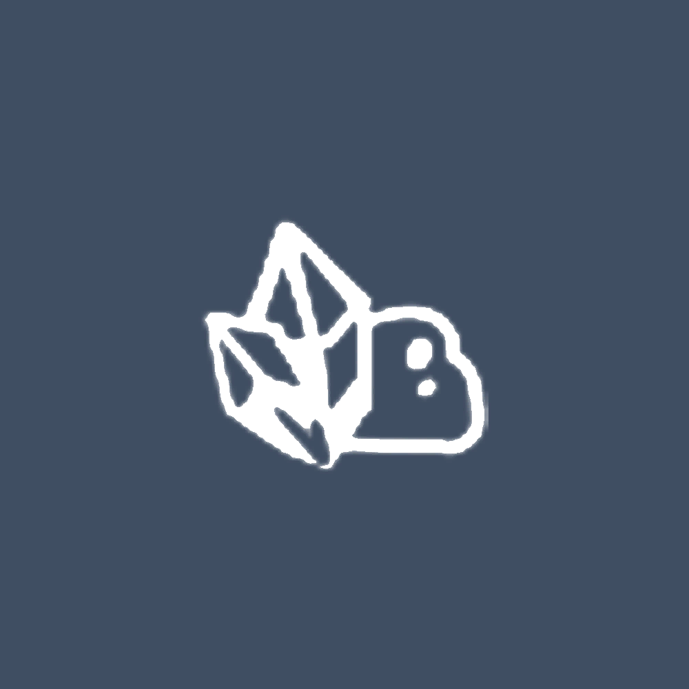 Mining Platform